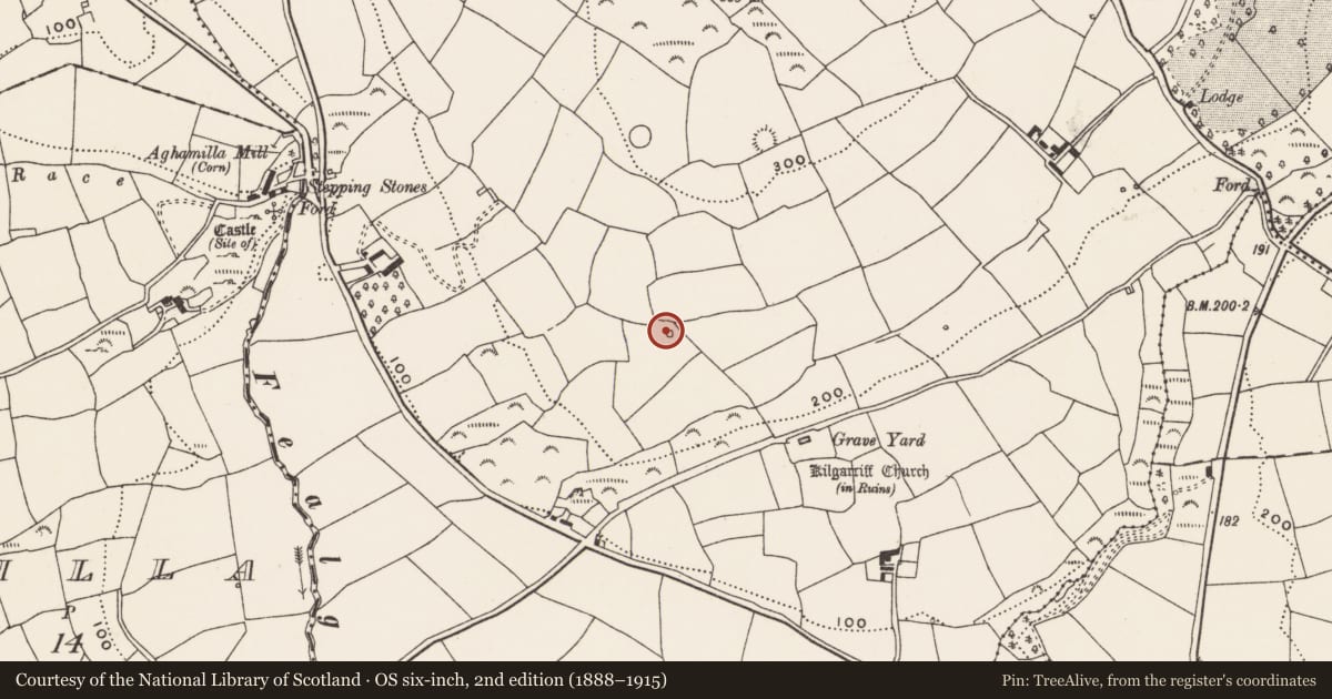 Ordnance Survey six-inch map, 2nd edition (1888–1915) covering the location of Barrow - ring-barrow, Kilgarriff, County Cork, with a pin at the register's coordinates