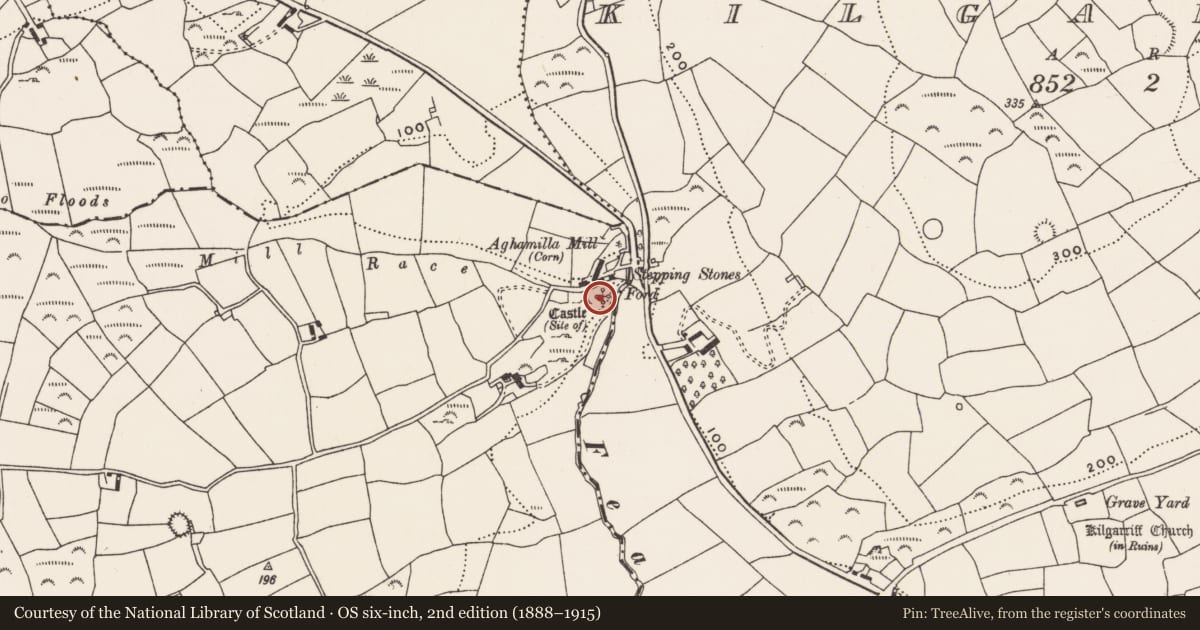Ordnance Survey six-inch map, 2nd edition (1888–1915) covering the location of Castle - unclassified, Aghamilla, County Cork, with a pin at the register's coordinates