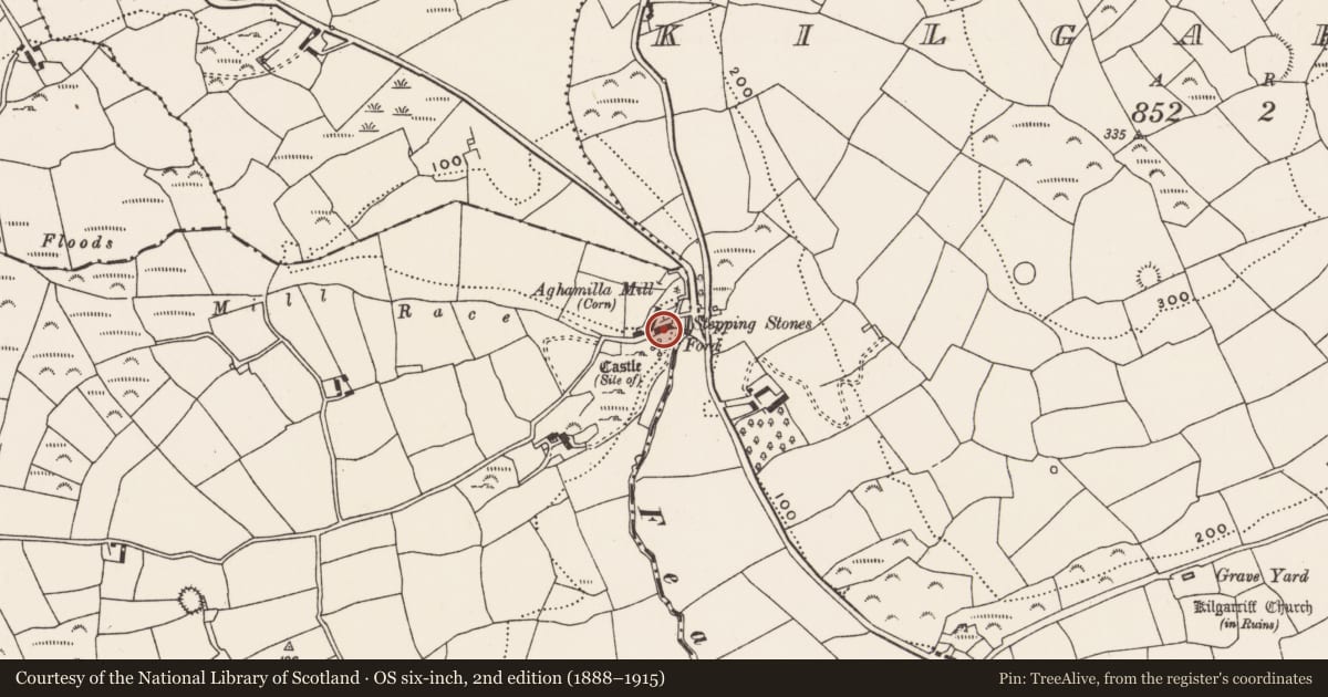 Ordnance Survey six-inch map, 2nd edition (1888–1915) covering the location of Milling complex, Aghamilla, County Cork, with a pin at the register's coordinates