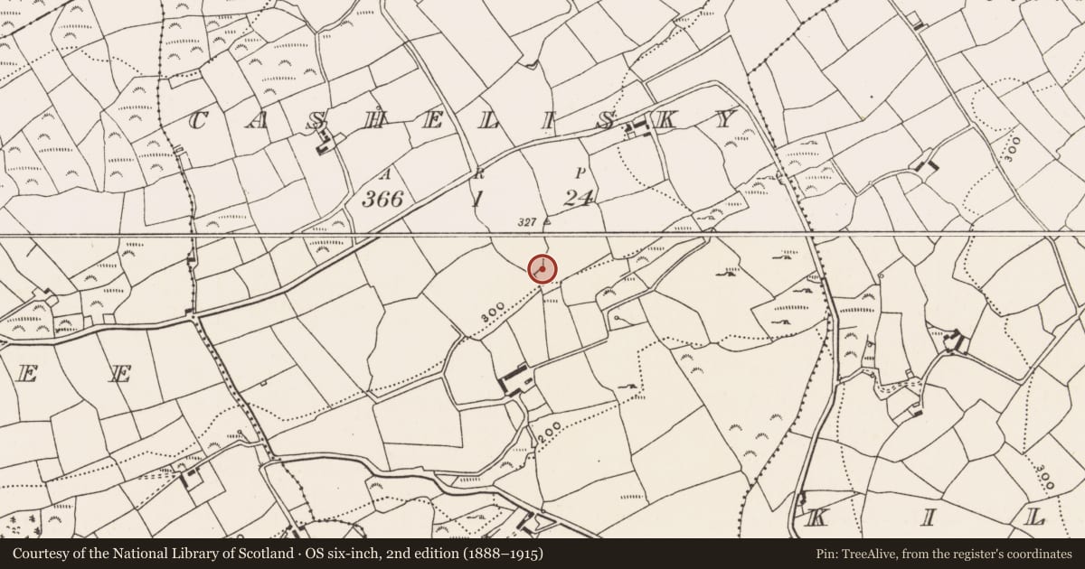 Ordnance Survey six-inch map, 2nd edition (1888–1915) covering the location of Souterrain, Cashelisky, County Cork, with a pin at the register's coordinates