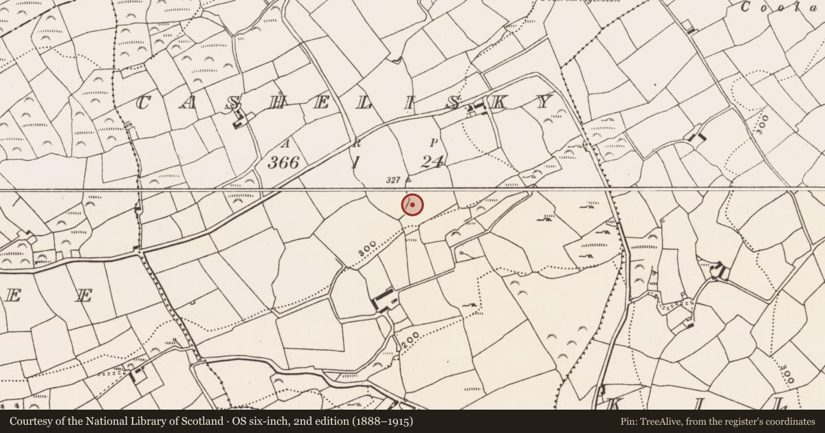Ordnance Survey six-inch map, 2nd edition (1888–1915) covering the location of Burial ground, Cashelisky, County Cork, with a pin at the register's coordinates