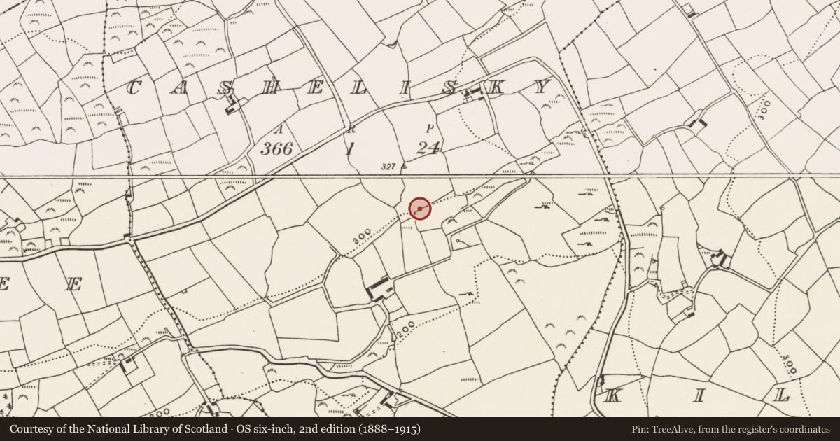 Ordnance Survey six-inch map, 2nd edition (1888–1915) covering the location of Burial ground, Cashelisky, County Cork, with a pin at the register's coordinates