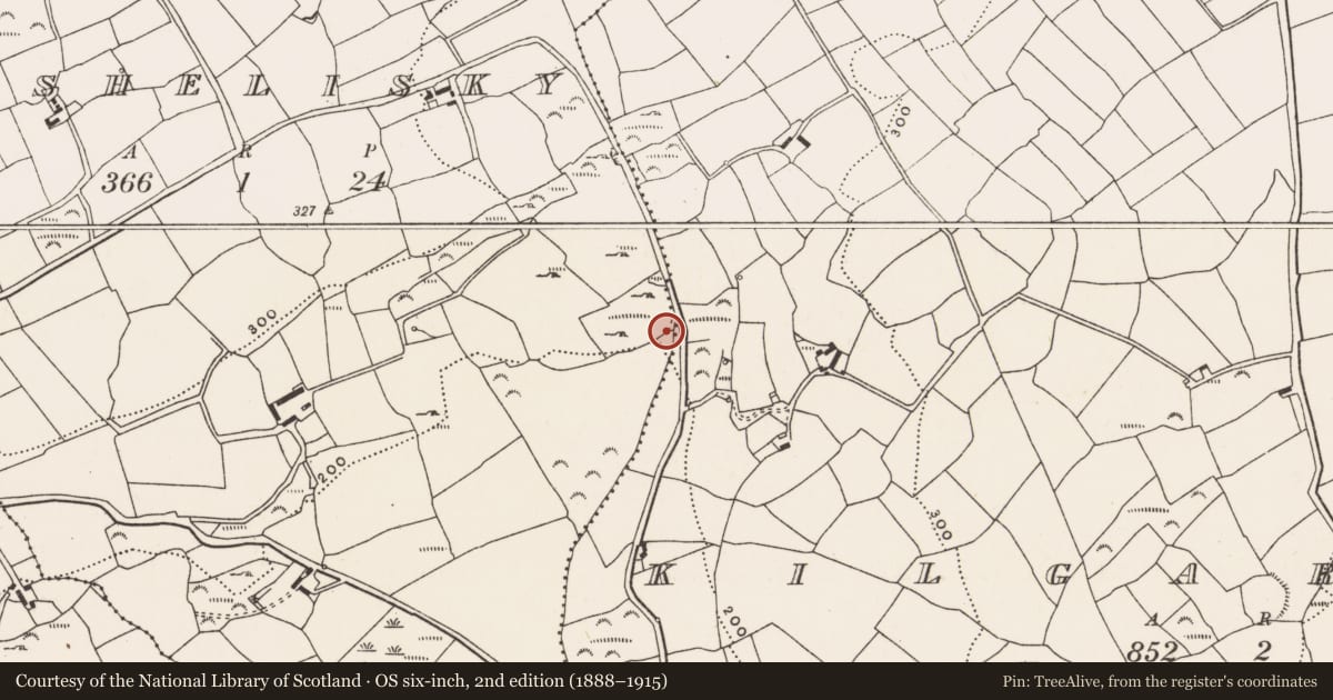 Ordnance Survey six-inch map, 2nd edition (1888–1915) covering the location of Fulacht fia, Cashelisky, County Cork, with a pin at the register's coordinates