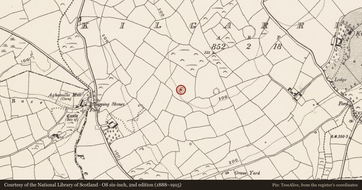 Ordnance Survey six-inch map, 2nd edition (1888–1915) covering the location of Ringfort - rath, Kilgarriff, County Cork, with a pin at the register's coordinates
