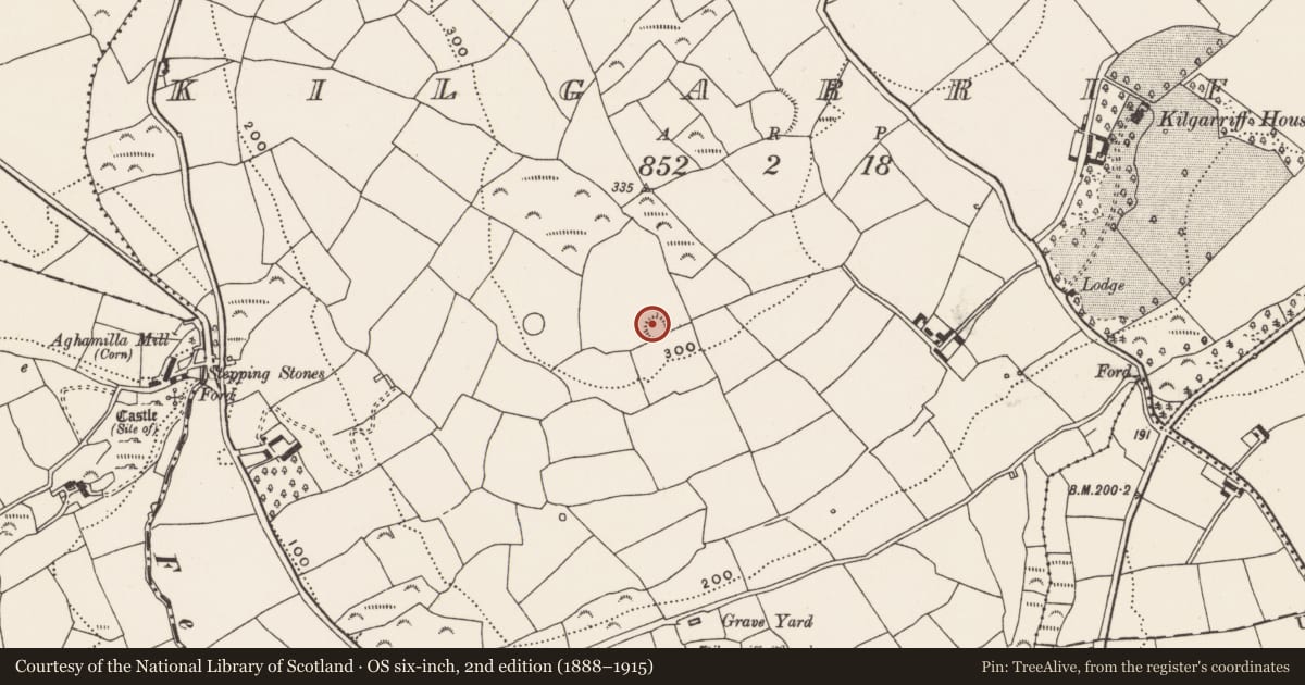 Ordnance Survey six-inch map, 2nd edition (1888–1915) covering the location of Ringfort - rath, Kilgarriff, County Cork, with a pin at the register's coordinates