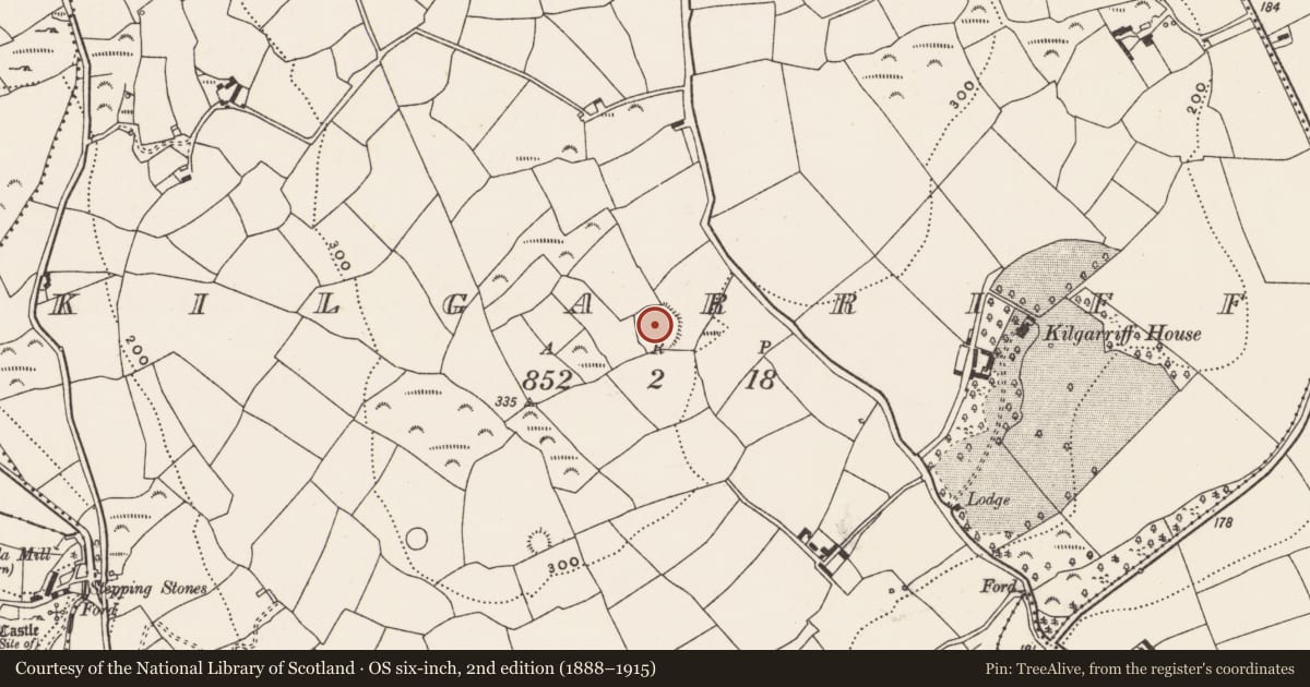Ordnance Survey six-inch map, 2nd edition (1888–1915) covering the location of Ringfort - rath, Kilgarriff, County Cork, with a pin at the register's coordinates