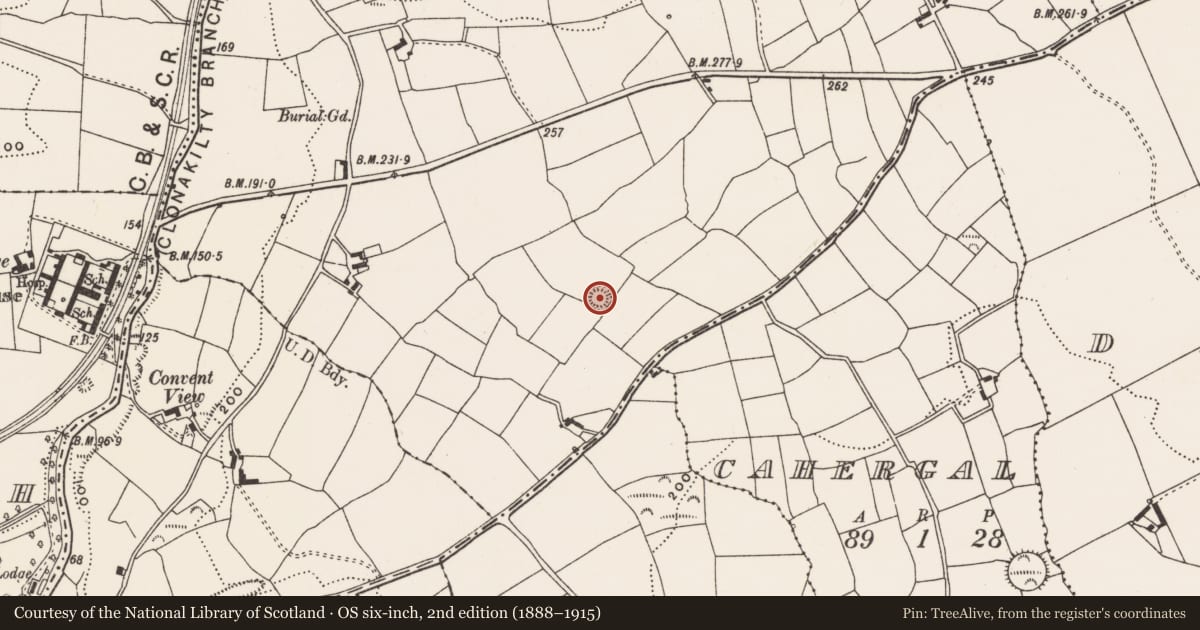 Ordnance Survey six-inch map, 2nd edition (1888–1915) covering the location of Ringfort - rath, Gallanes, County Cork, with a pin at the register's coordinates