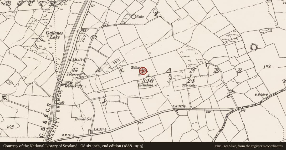 Ordnance Survey six-inch map, 2nd edition (1888–1915) covering the location of Standing stone, Gallanes, County Cork, with a pin at the register's coordinates
