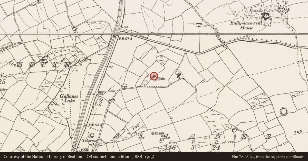Ordnance Survey six-inch map, 2nd edition (1888–1915) covering the location of Souterrain, Gallanes, County Cork, with a pin at the register's coordinates