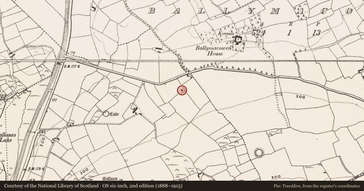 Ordnance Survey six-inch map, 2nd edition (1888–1915) covering the location of Enclosure, Gallanes, County Cork, with a pin at the register's coordinates