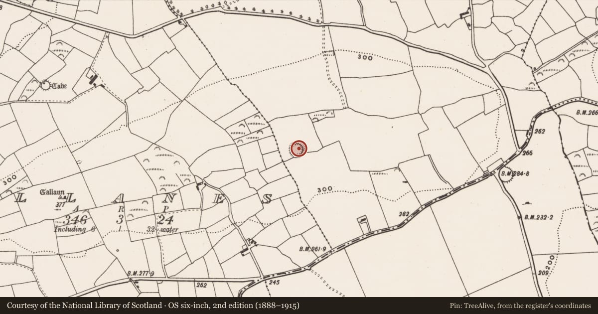 Ordnance Survey six-inch map, 2nd edition (1888–1915) covering the location of Ringfort - rath, Ballymacowen, County Cork, with a pin at the register's coordinates