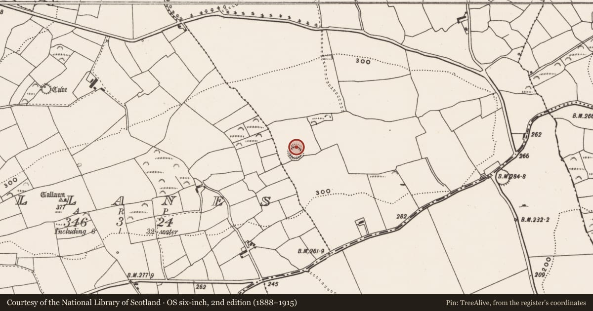 Ordnance Survey six-inch map, 2nd edition (1888–1915) covering the location of Souterrain, Ballymacowen, County Cork, with a pin at the register's coordinates