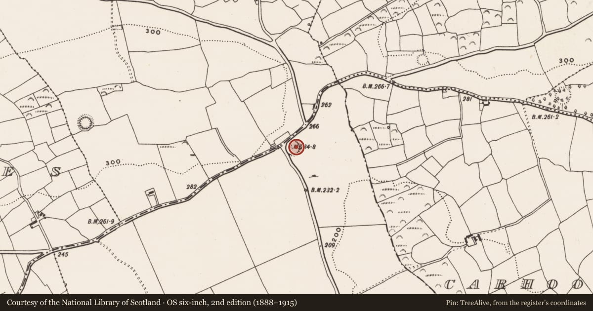 Ordnance Survey six-inch map, 2nd edition (1888–1915) covering the location of Ringfort - rath, Darrary, County Cork, with a pin at the register's coordinates