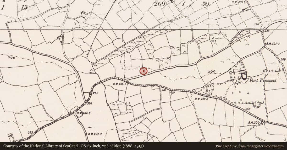 Ordnance Survey six-inch map, 2nd edition (1888–1915) covering the location of Ringfort - rath, Lackanalooha, County Cork, with a pin at the register's coordinates
