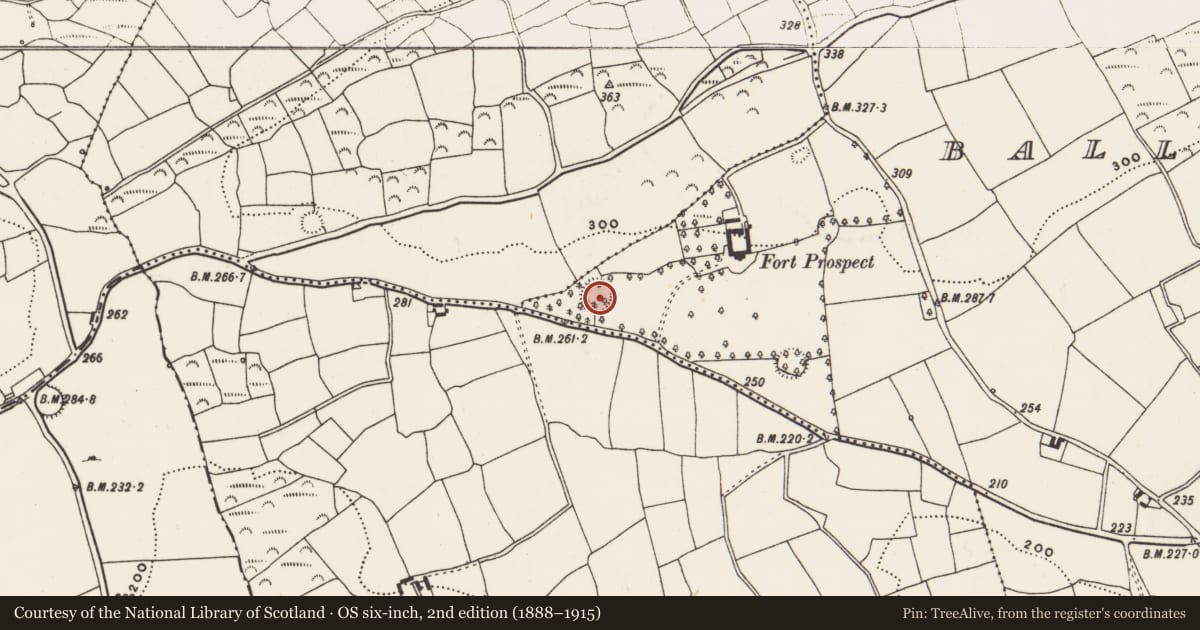 Ordnance Survey six-inch map, 2nd edition (1888–1915) covering the location of Ringfort - rath, Ballinoroher (Carbery E. By., Kilnagross Par.), County Cork, with a pin at the register's coordinates