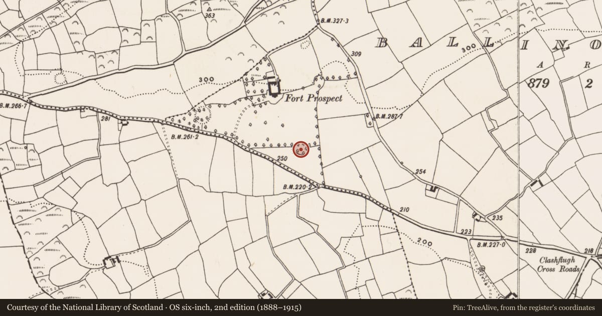 Ordnance Survey six-inch map, 2nd edition (1888–1915) covering the location of Ringfort - rath, Ballinoroher (Carbery E. By., Kilnagross Par.), County Cork, with a pin at the register's coordinates