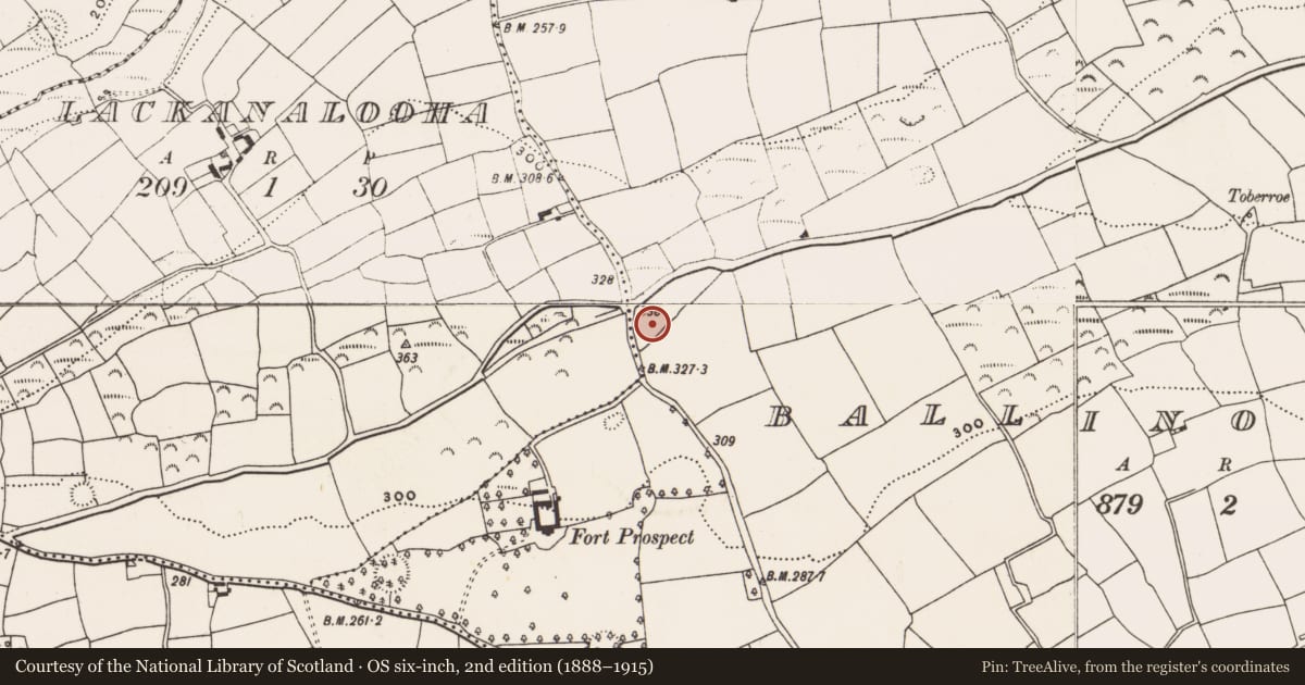 Ordnance Survey six-inch map, 2nd edition (1888–1915) covering the location of Burial ground, Ballinoroher (Carbery E. By., Kilnagross Par.), County Cork, with a pin at the register's coordinates