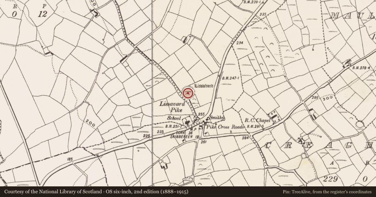 Ordnance Survey six-inch map, 2nd edition (1888–1915) covering the location of Ringfort - rath, Tullyneasky East, County Cork, with a pin at the register's coordinates