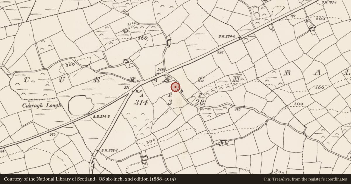 Ordnance Survey six-inch map, 2nd edition (1888–1915) covering the location of Mound, Curragh, County Cork, with a pin at the register's coordinates