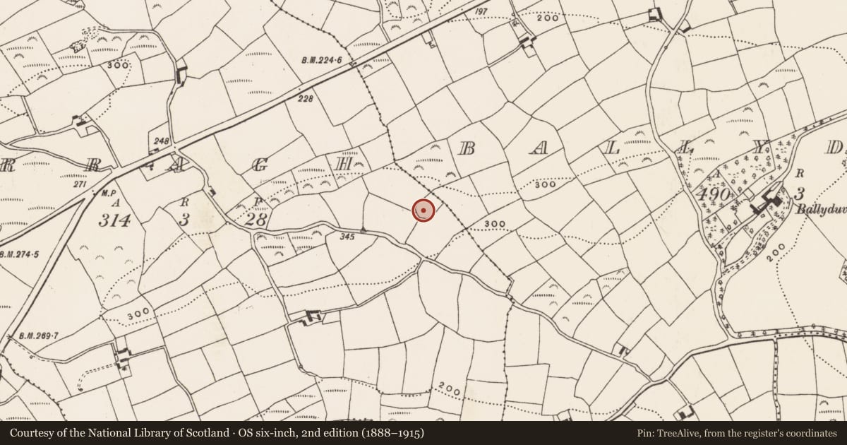 Ordnance Survey six-inch map, 2nd edition (1888–1915) covering the location of Ringfort - rath, Curragh, County Cork, with a pin at the register's coordinates