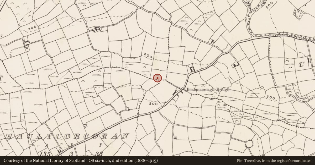 Ordnance Survey six-inch map, 2nd edition (1888–1915) covering the location of Fulacht fia, Curragh, County Cork, with a pin at the register's coordinates