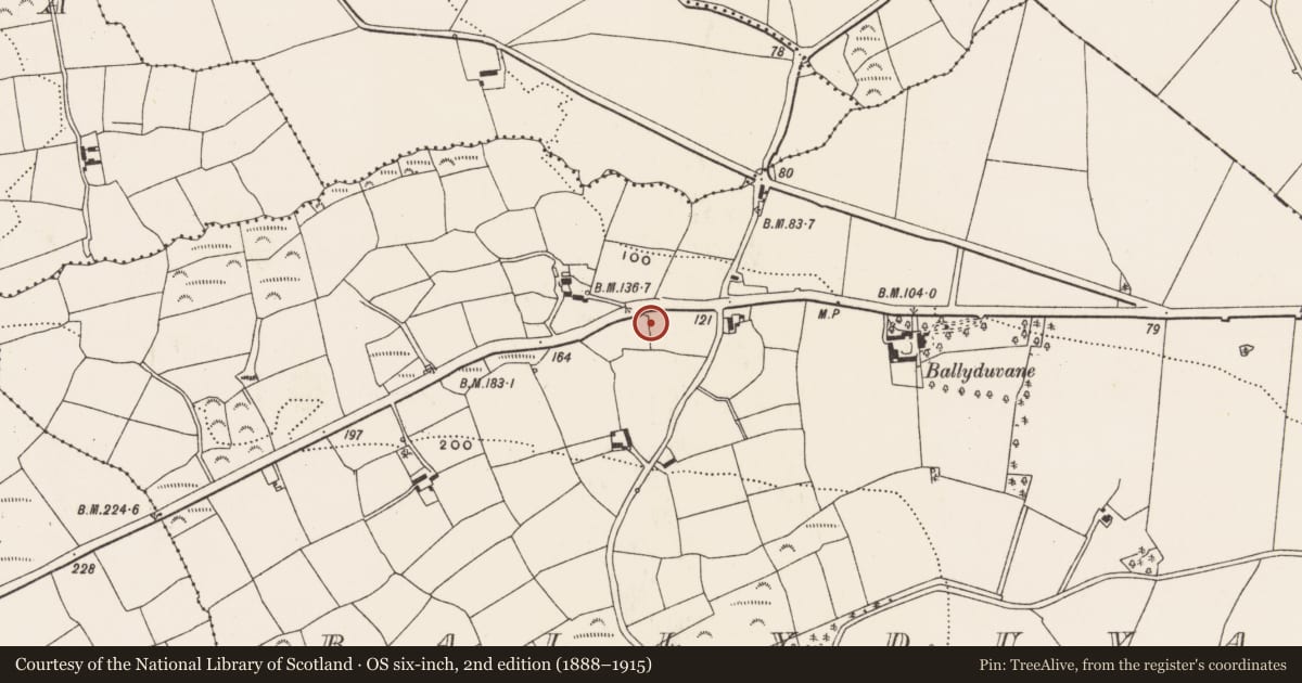 Ordnance Survey six-inch map, 2nd edition (1888–1915) covering the location of Standing stone, Ballyduvane (Ibane and Barryroe By., Kilkerranmore Par.), County Cork, with a pin at the register's coordinates