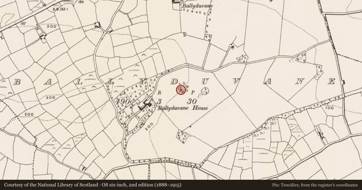 Ordnance Survey six-inch map, 2nd edition (1888–1915) covering the location of Ringfort - rath, Ballyduvane (Ibane and Barryroe By., Kilkerranmore Par.), County Cork, with a pin at the register's coordinates