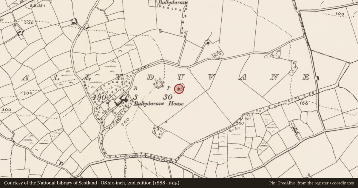Ordnance Survey six-inch map, 2nd edition (1888–1915) covering the location of Enclosure, Ballyduvane (Ibane and Barryroe By., Kilgarriff Par.), County Cork, with a pin at the register's coordinates