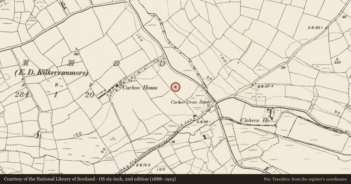 Ordnance Survey six-inch map, 2nd edition (1888–1915) covering the location of Standing stone, Carhoo (Ibane and Barryroe By., Kilgarriff Par.), County Cork, with a pin at the register's coordinates