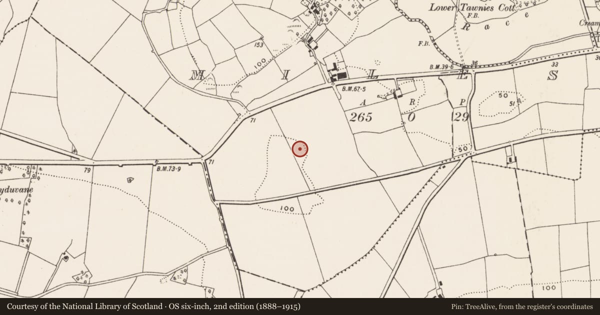 Ordnance Survey six-inch map, 2nd edition (1888–1915) covering the location of Enclosure, Miles, County Cork, with a pin at the register's coordinates