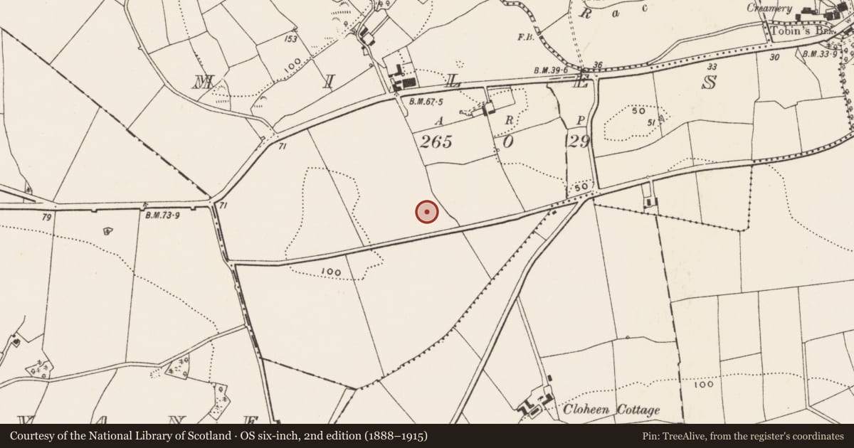 Ordnance Survey six-inch map, 2nd edition (1888–1915) covering the location of Souterrain, Miles, County Cork, with a pin at the register's coordinates