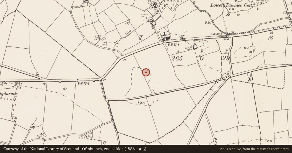 Ordnance Survey six-inch map, 2nd edition (1888–1915) covering the location of Souterrain, Miles, County Cork, with a pin at the register's coordinates