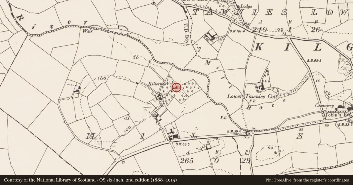 Ordnance Survey six-inch map, 2nd edition (1888–1915) covering the location of Ritual site - holy well, Miles, County Cork, with a pin at the register's coordinates