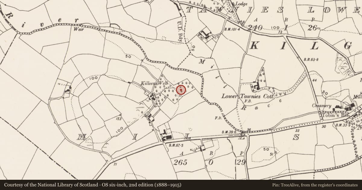 Ordnance Survey six-inch map, 2nd edition (1888–1915) covering the location of Mill - unclassified, Miles, County Cork, with a pin at the register's coordinates