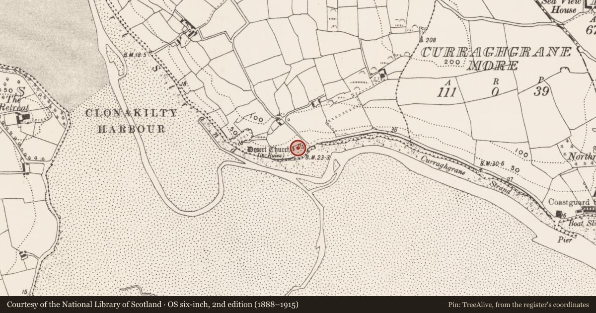 Ordnance Survey six-inch map, 2nd edition (1888–1915) covering the location of Graveyard, Desert, County Cork, with a pin at the register's coordinates