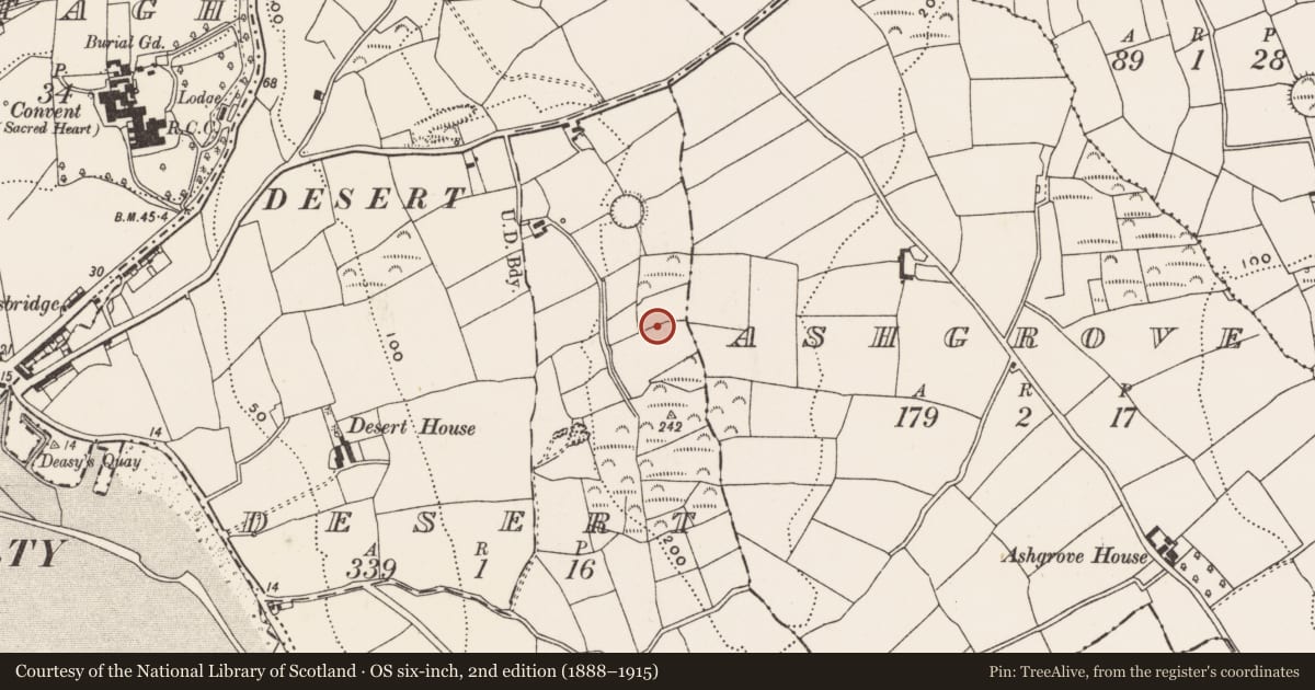 Ordnance Survey six-inch map, 2nd edition (1888–1915) covering the location of Ringfort - rath, Desert, County Cork, with a pin at the register's coordinates