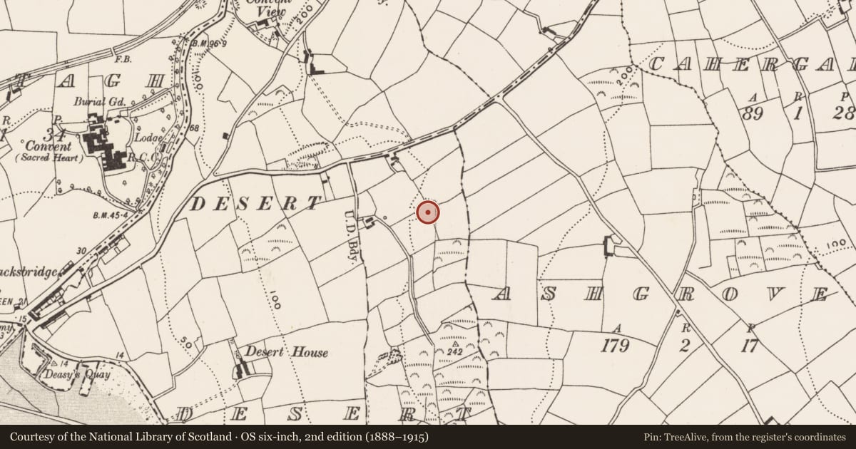 Ordnance Survey six-inch map, 2nd edition (1888–1915) covering the location of Ringfort - rath, Desert, County Cork, with a pin at the register's coordinates