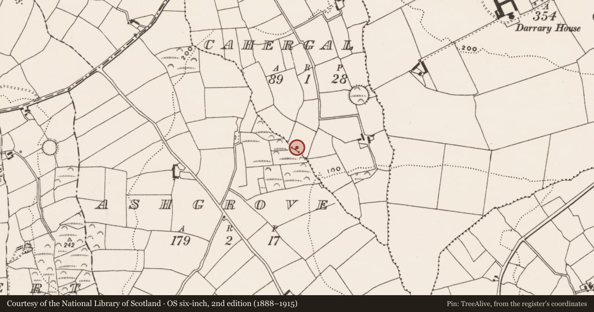 Ordnance Survey six-inch map, 2nd edition (1888–1915) covering the location of Boundary stone, Cahergal (Ibane and Barryroe By., Templeomalus Par.), County Cork, with a pin at the register's coordinates