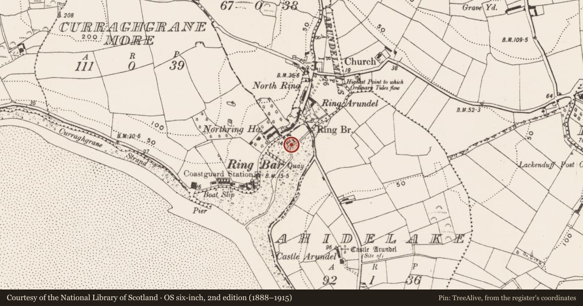 Ordnance Survey six-inch map, 2nd edition (1888–1915) covering the location of Corn store, Curraghgrane Beg, County Cork, with a pin at the register's coordinates