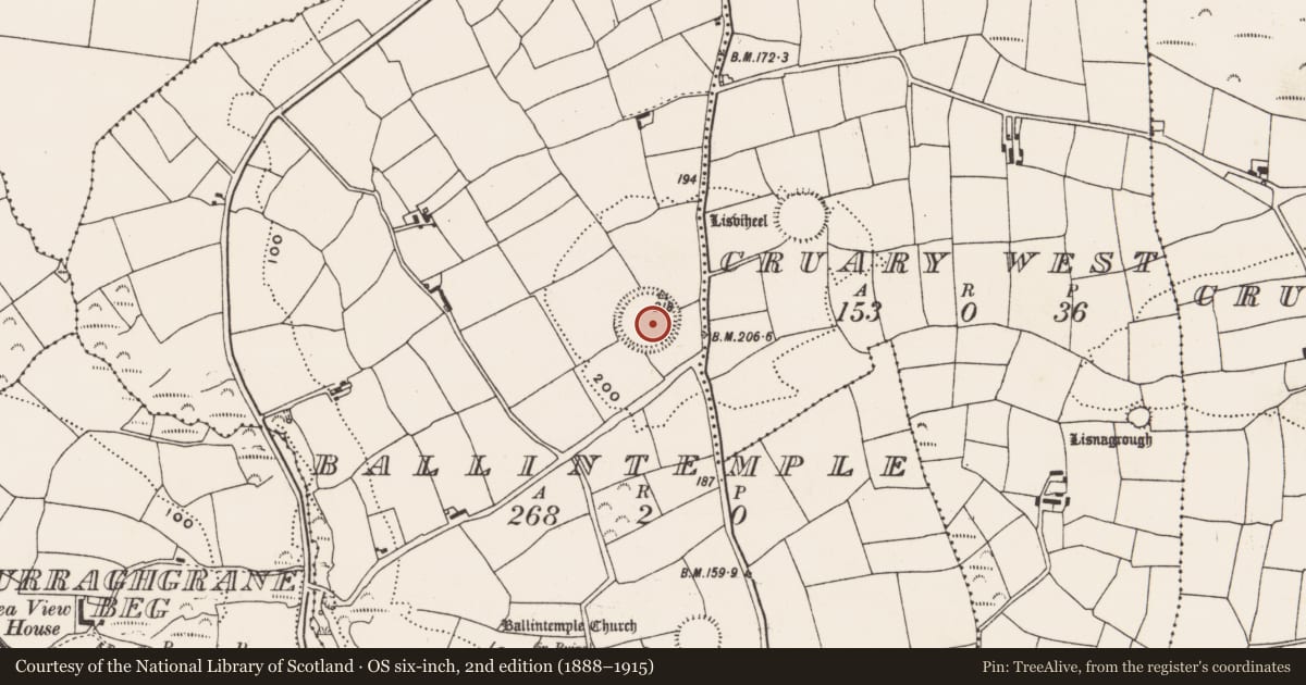 Ordnance Survey six-inch map, 2nd edition (1888–1915) covering the location of Ringfort - rath, Ballintemple, County Cork, with a pin at the register's coordinates