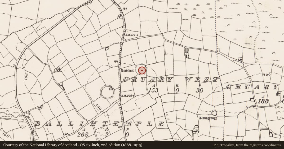 Ordnance Survey six-inch map, 2nd edition (1888–1915) covering the location of Ringfort - rath, Cruary West, County Cork, with a pin at the register's coordinates