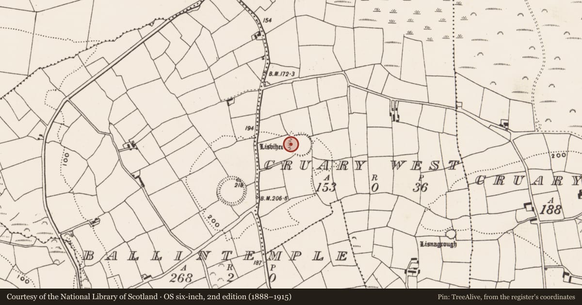 Ordnance Survey six-inch map, 2nd edition (1888–1915) covering the location of Souterrain, Cruary West, County Cork, with a pin at the register's coordinates