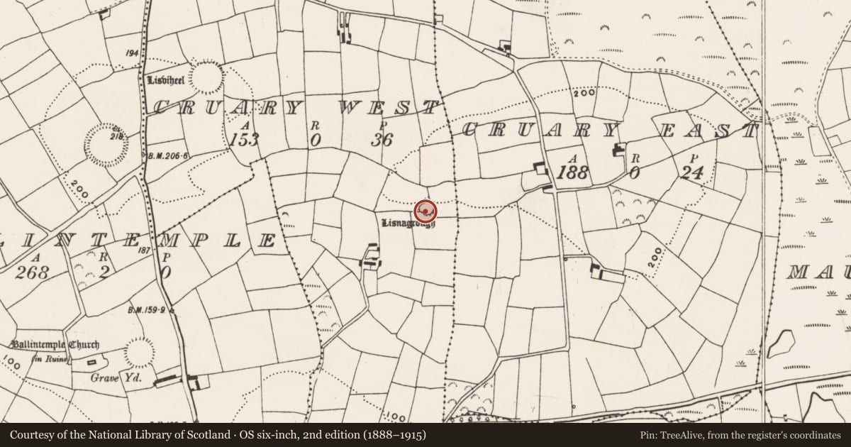 Ordnance Survey six-inch map, 2nd edition (1888–1915) covering the location of Ringfort - rath, Cruary West, County Cork, with a pin at the register's coordinates