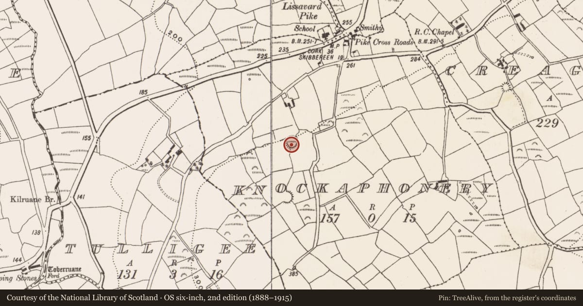Ordnance Survey six-inch map, 2nd edition (1888–1915) covering the location of Ringfort - rath, Knockaphonery, County Cork, with a pin at the register's coordinates