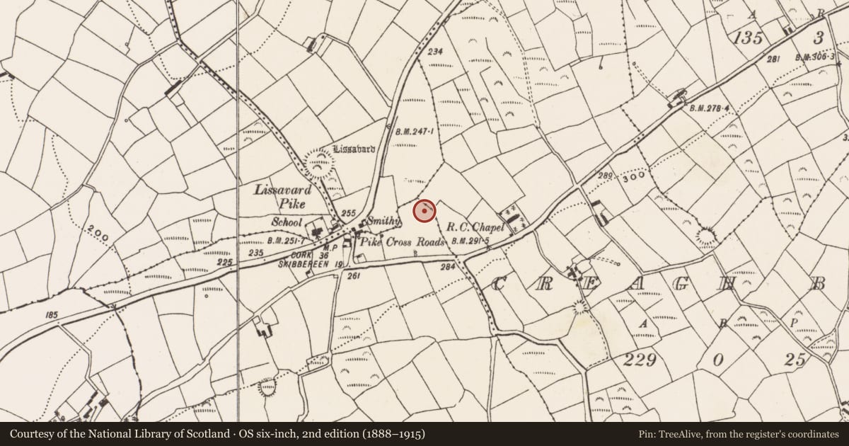 Ordnance Survey six-inch map, 2nd edition (1888–1915) covering the location of Fulacht fia, Knockaphonery, County Cork, with a pin at the register's coordinates
