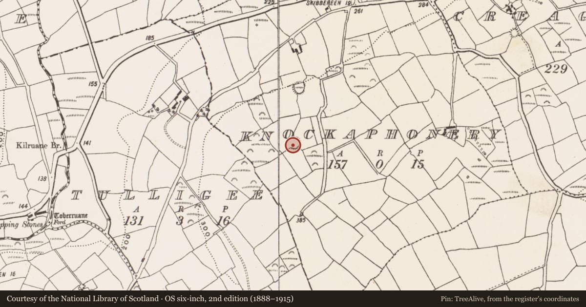 Ordnance Survey six-inch map, 2nd edition (1888–1915) covering the location of Ringfort - rath, Knockaphonery, County Cork, with a pin at the register's coordinates