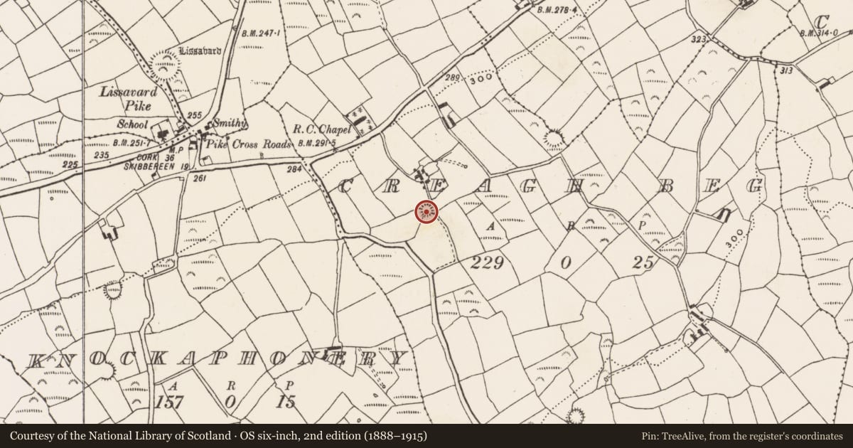 Ordnance Survey six-inch map, 2nd edition (1888–1915) covering the location of Ringfort - rath, Creagh Beg, County Cork, with a pin at the register's coordinates