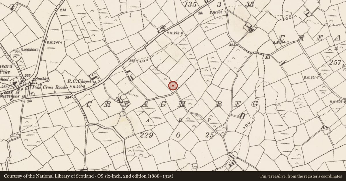Ordnance Survey six-inch map, 2nd edition (1888–1915) covering the location of Ringfort - rath, Creagh Beg, County Cork, with a pin at the register's coordinates