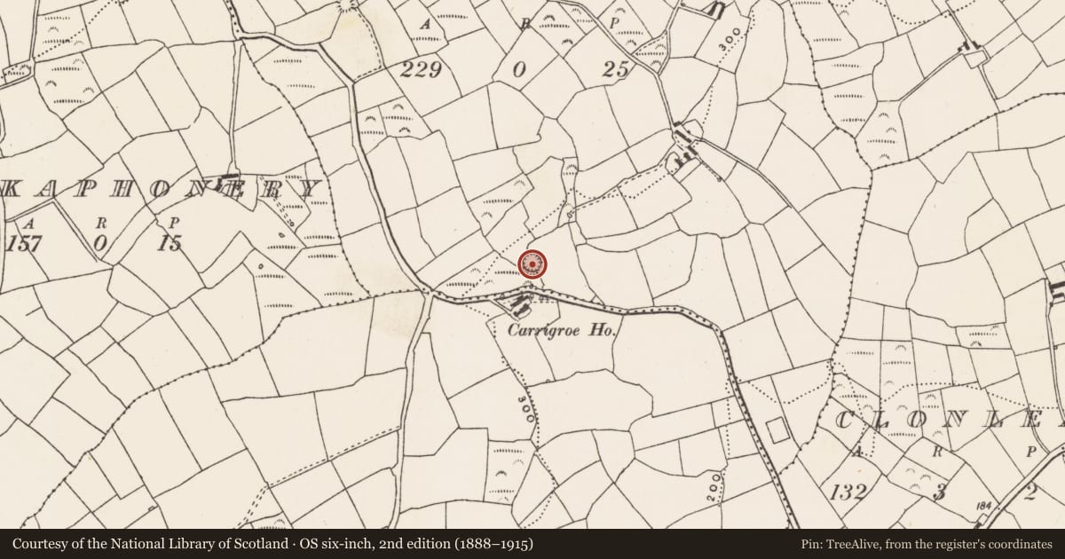 Ordnance Survey six-inch map, 2nd edition (1888–1915) covering the location of Ringfort - rath, Creagh Beg, County Cork, with a pin at the register's coordinates