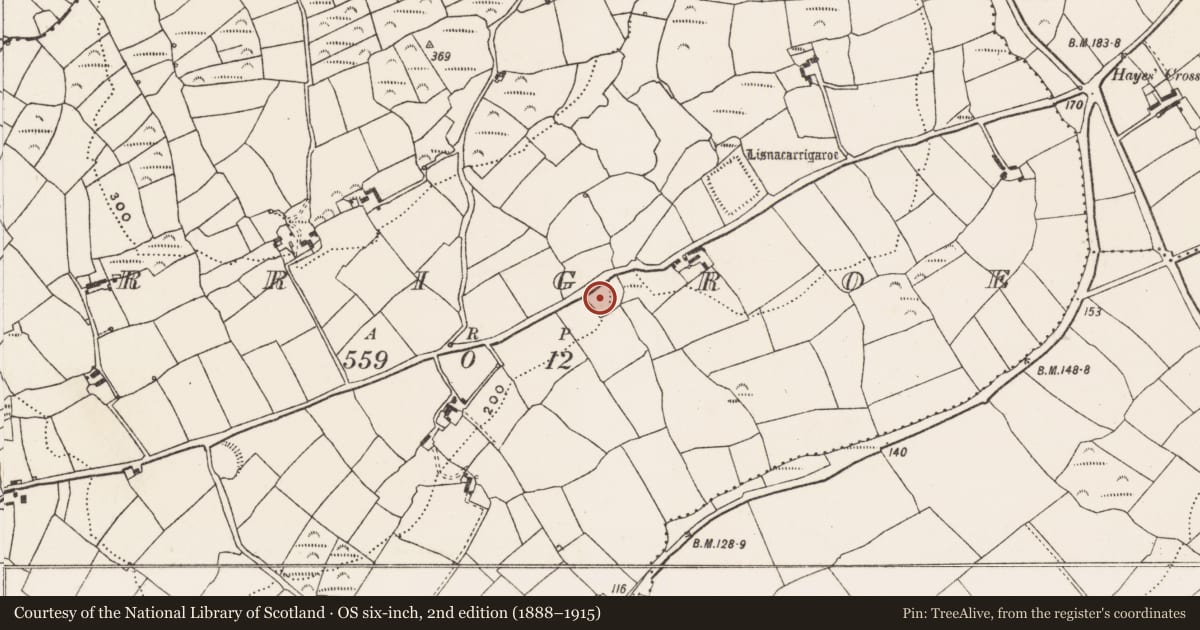 Ordnance Survey six-inch map, 2nd edition (1888–1915) covering the location of Burial ground, Carrigroe, County Cork, with a pin at the register's coordinates